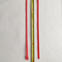 大红色阻燃尼龙扎带